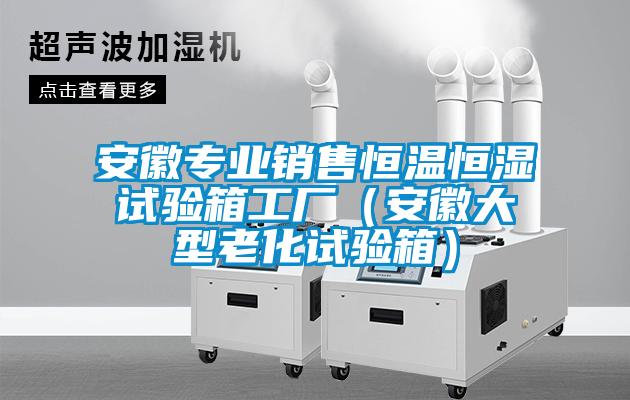 安徽專業(yè)銷售恒溫恒濕試驗(yàn)箱工廠（安徽大型老化試驗(yàn)箱）