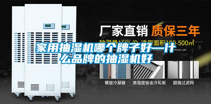 家用抽濕機(jī)哪個牌子好—什么品牌的抽濕機(jī)好