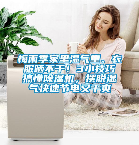 梅雨季家里濕氣重、衣服曬不干！3小技巧搞懂除濕機(jī)，擺脫濕氣快速節(jié)電又干爽
