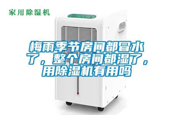 梅雨季節(jié)房間都冒水了，整個(gè)房間都濕了，用除濕機(jī)有用嗎
