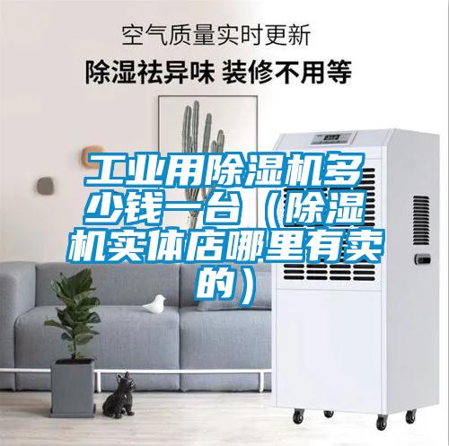 工業(yè)用除濕機(jī)多少錢一臺（除濕機(jī)實體店哪里有賣的）