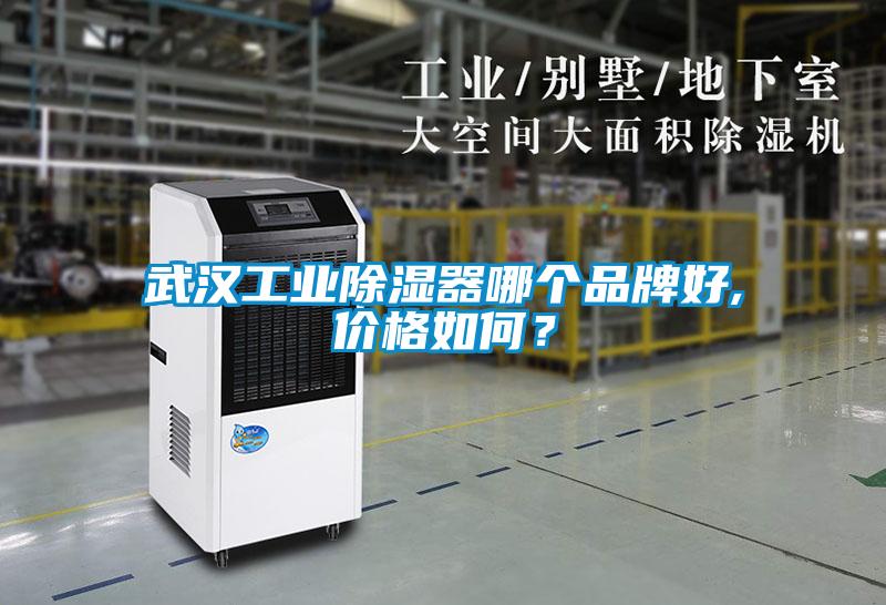 武漢工業(yè)除濕器哪個品牌好,價格如何？