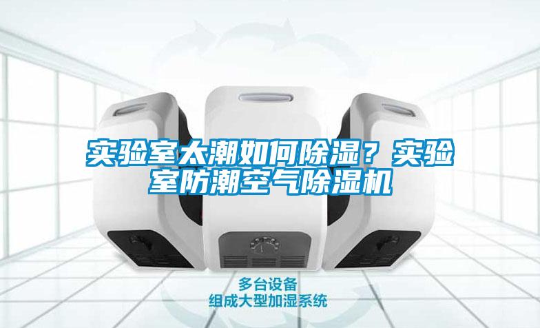 實驗室太潮如何除濕？實驗室防潮空氣除濕機