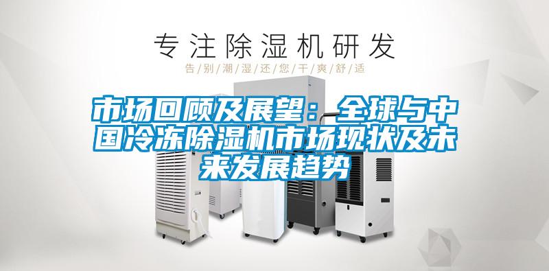 市場回顧及展望：全球與中國冷凍除濕機(jī)市場現(xiàn)狀及未來發(fā)展趨勢