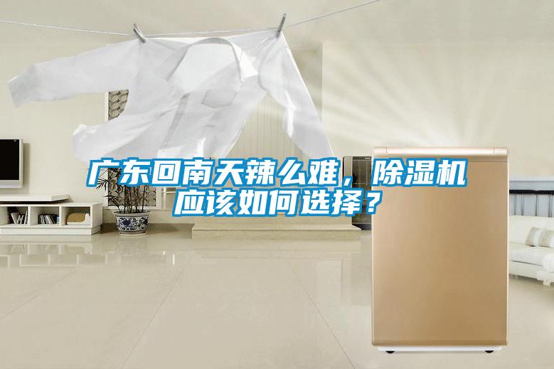 廣東回南天辣么難，除濕機(jī)應(yīng)該如何選擇？