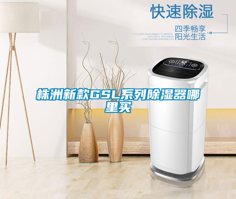 株洲新款GSL系列除濕器哪里買