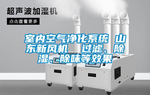 室內(nèi)空氣凈化系統(tǒng) 山東新風(fēng)機  過濾、除濕、除味等效果