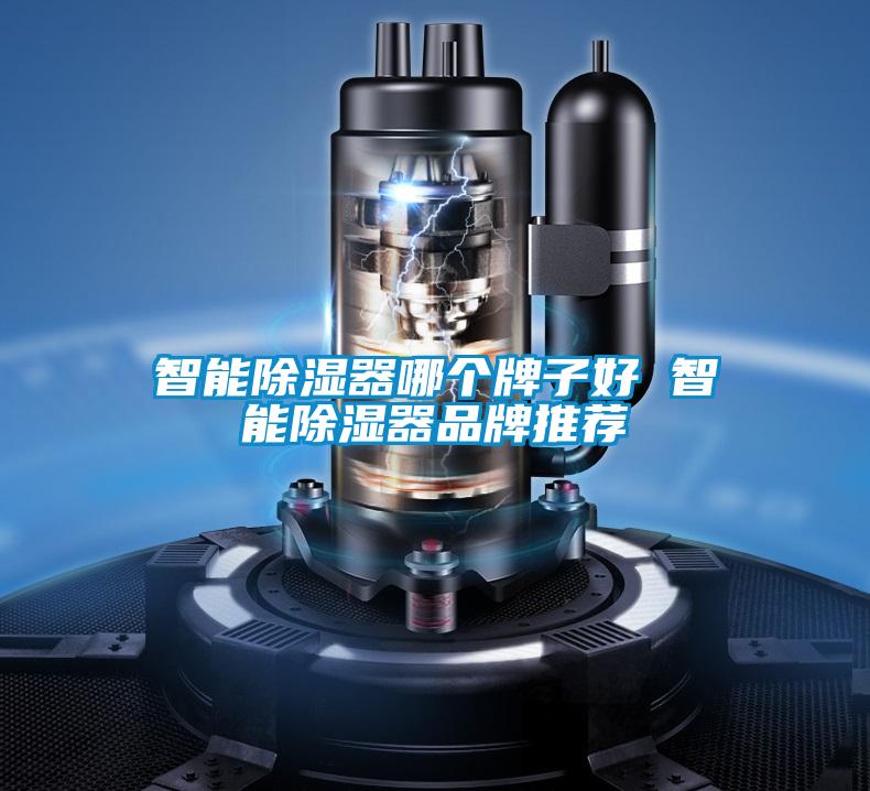 智能除濕器哪個(gè)牌子好 智能除濕器品牌推薦