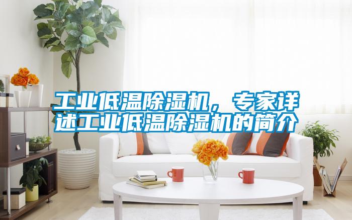 工業(yè)低溫除濕機，專家詳述工業(yè)低溫除濕機的簡介