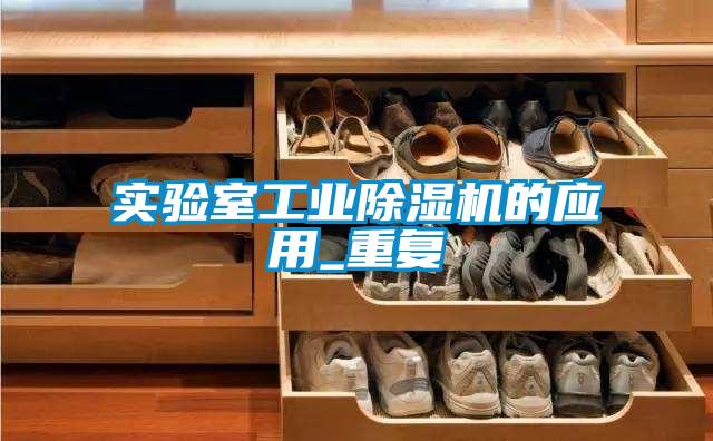 實驗室工業(yè)除濕機的應(yīng)用_重復(fù)