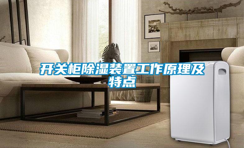 開關(guān)柜除濕裝置工作原理及特點(diǎn)