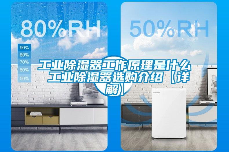 工業(yè)除濕器工作原理是什么 工業(yè)除濕器選購介紹【詳解】