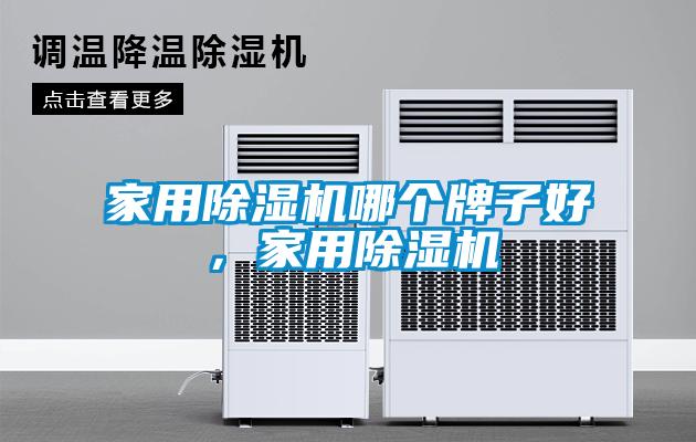 家用除濕機(jī)哪個(gè)牌子好，家用除濕機(jī)