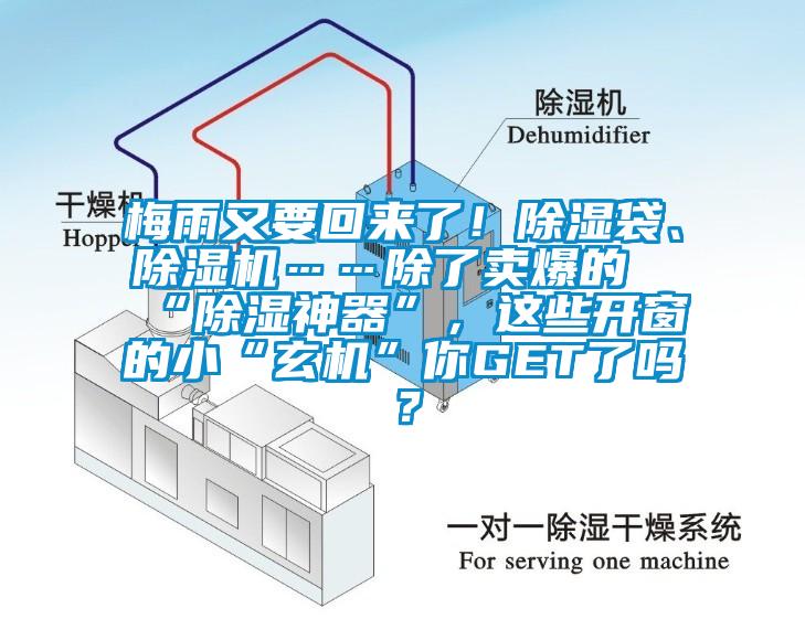 梅雨又要回來(lái)了！除濕袋、除濕機(jī)……除了賣爆的“除濕神器”，這些開窗的小“玄機(jī)”你GET了嗎？