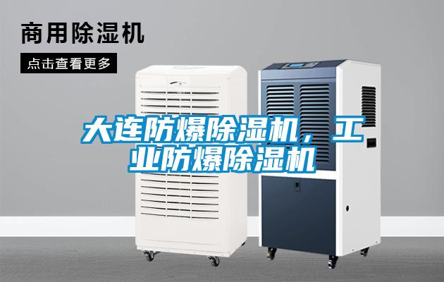 大連防爆除濕機，工業(yè)防爆除濕機