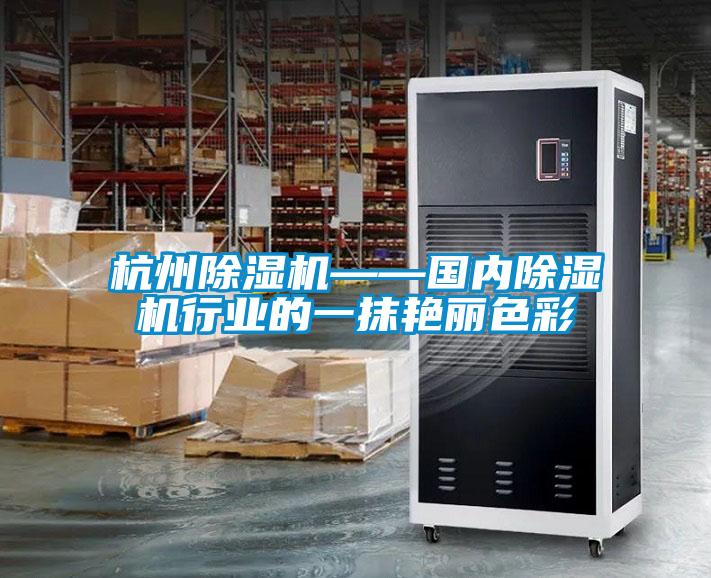 杭州除濕機——國內(nèi)除濕機行業(yè)的一抹艷麗色彩