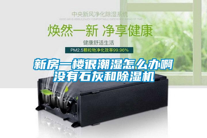 新房一樓很潮濕怎么辦啊沒有石灰和除濕機(jī)