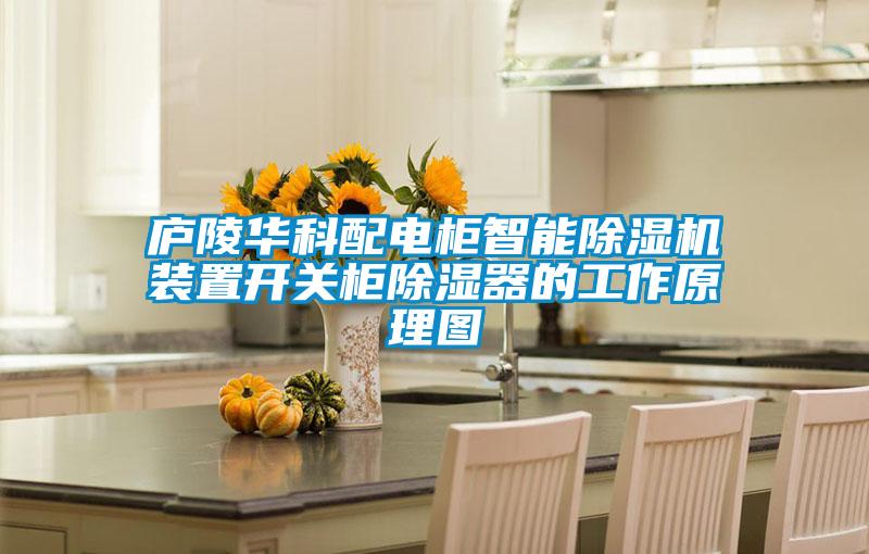 廬陵華科配電柜智能除濕機(jī)裝置開(kāi)關(guān)柜除濕器的工作原理圖
