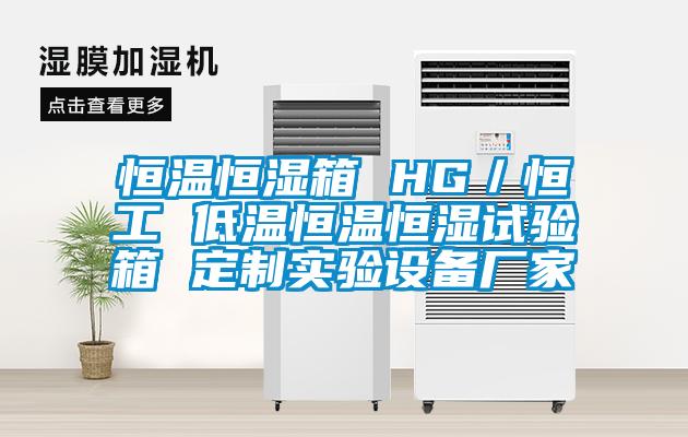 恒溫恒濕箱 HG／恒工 低溫恒溫恒濕試驗箱 定制實驗設(shè)備廠家