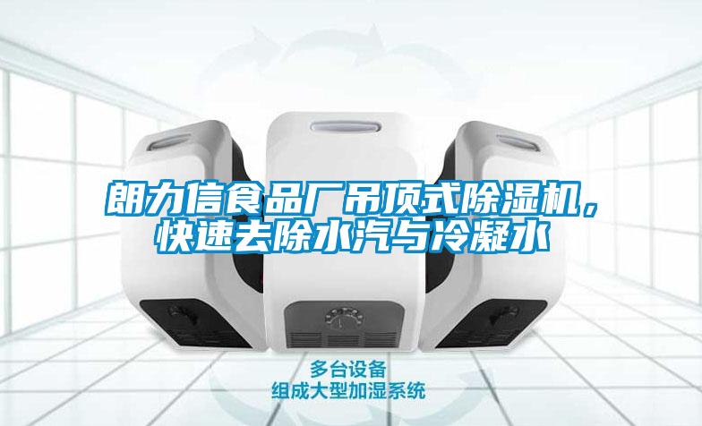 朗力信食品廠吊頂式除濕機(jī)，快速去除水汽與冷凝水