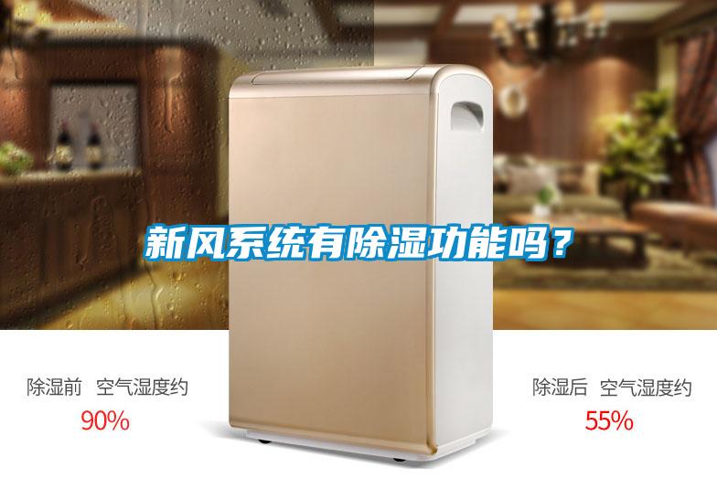 新風系統(tǒng)有除濕功能嗎？