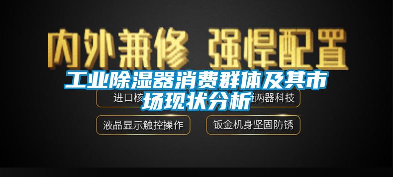 工業(yè)除濕器消費群體及其市場現(xiàn)狀分析