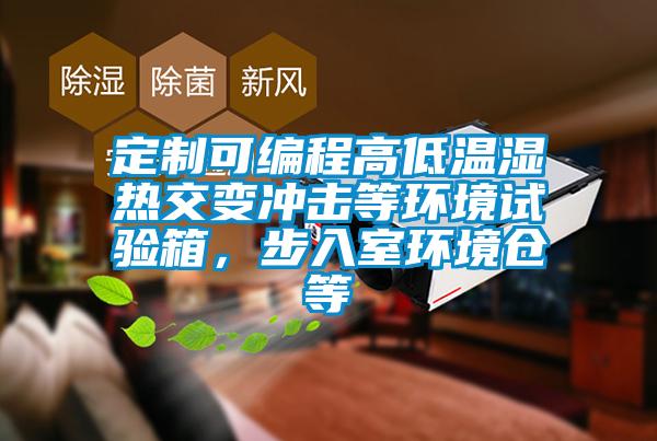 定制可編程高低溫濕熱交變沖擊等環(huán)境試驗(yàn)箱，步入室環(huán)境倉(cāng)等