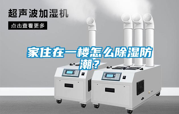 家住在一樓怎么除濕防潮？