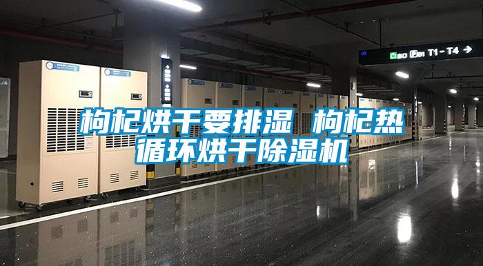 枸杞烘干要排濕 枸杞熱循環(huán)烘干除濕機