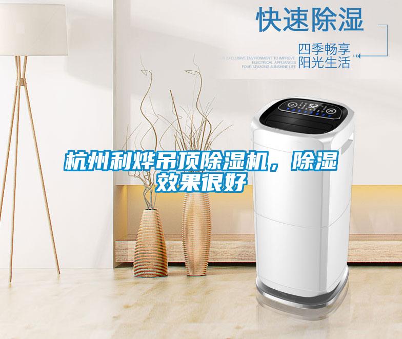 杭州利燁吊頂除濕機，除濕效果很好