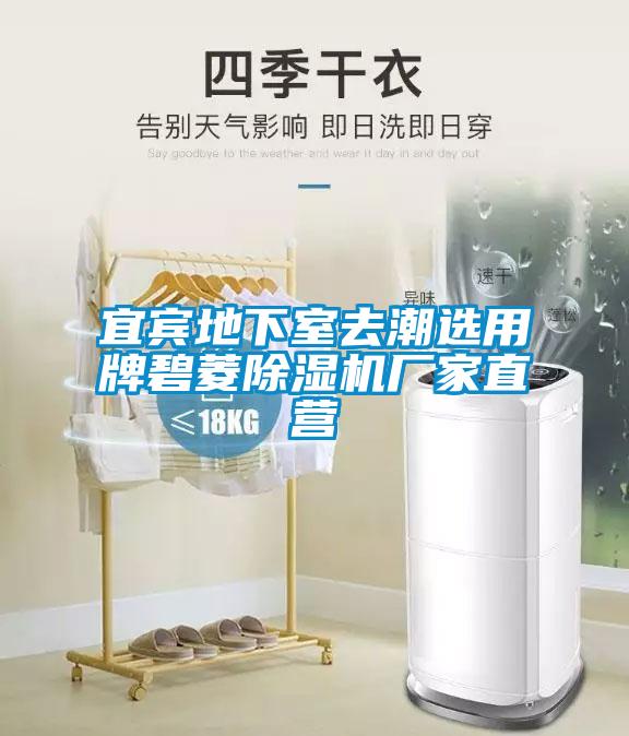 宜賓地下室去潮選用牌碧菱除濕機(jī)廠家直營