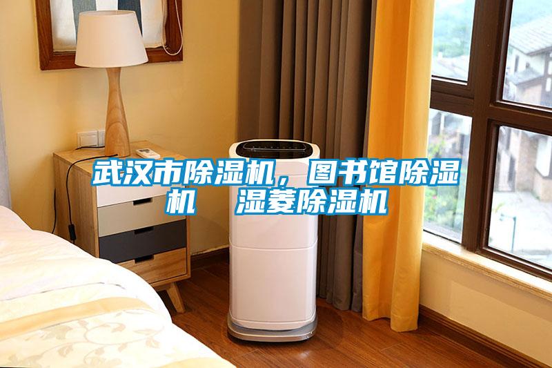 武漢市除濕機，圖書館除濕機  濕菱除濕機