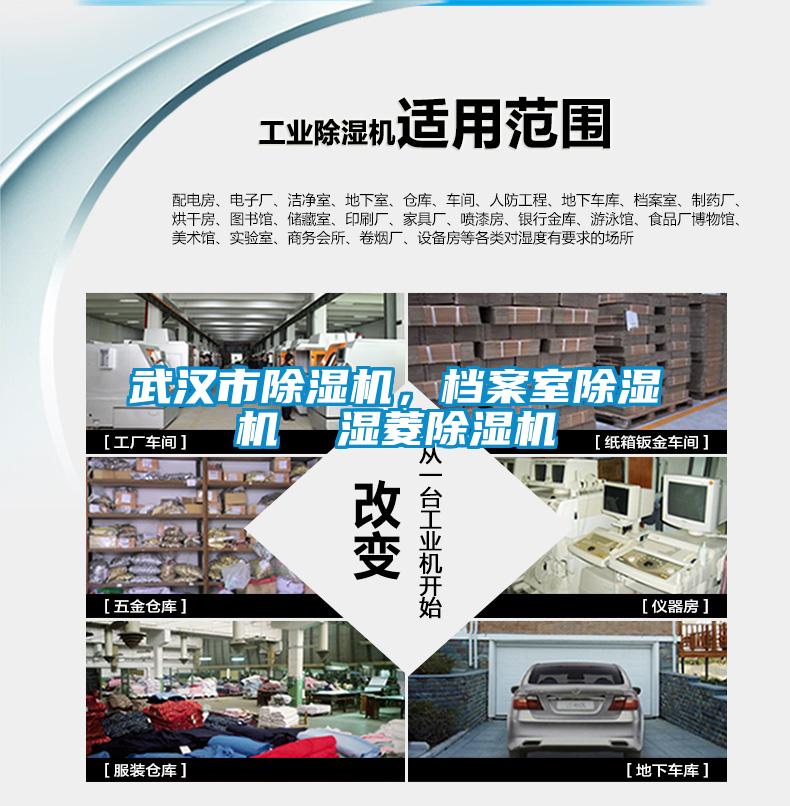 武漢市除濕機，檔案室除濕機  濕菱除濕機