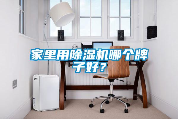 家里用除濕機哪個牌子好？