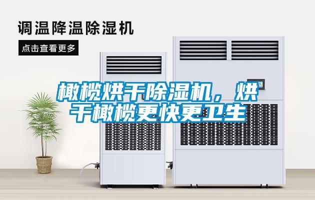 橄欖烘干除濕機(jī)，烘干橄欖更快更衛(wèi)生