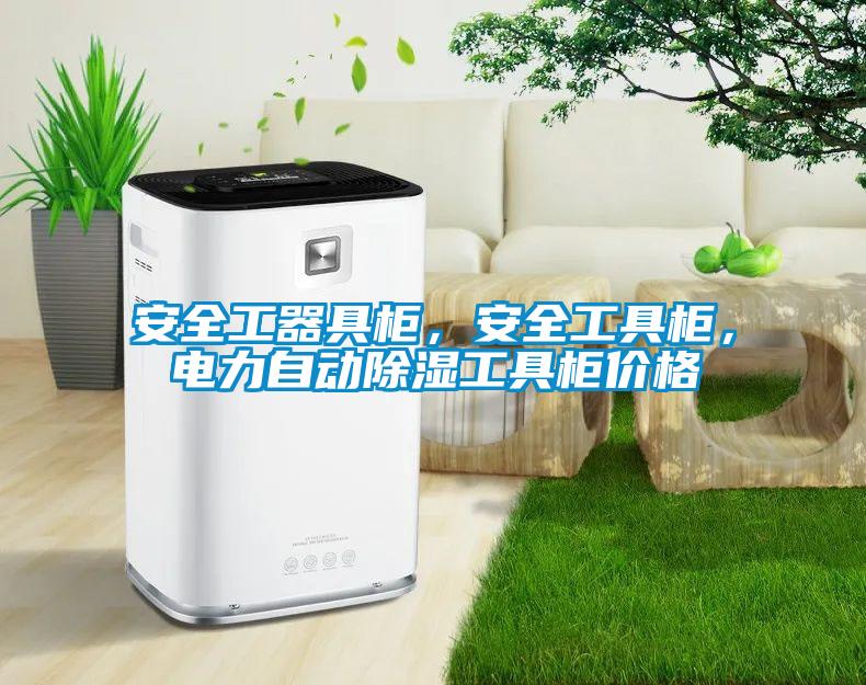 安全工器具柜，安全工具柜，電力自動(dòng)除濕工具柜價(jià)格