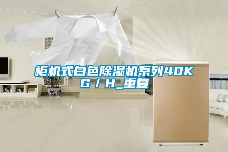 柜機式白色除濕機系列40KG／H_重復