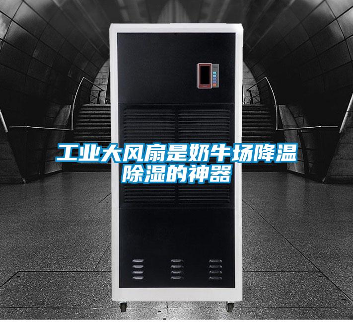 工業(yè)大風扇是奶牛場降溫除濕的神器