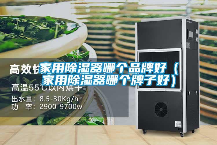 家用除濕器哪個(gè)品牌好（家用除濕器哪個(gè)牌子好）