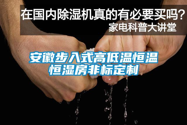 安徽步入式高低溫恒溫恒濕房非標(biāo)定制