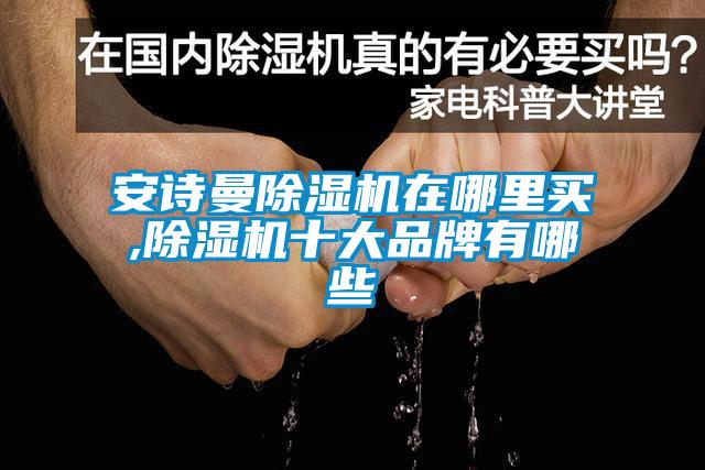 安詩(shī)曼除濕機(jī)在哪里買(mǎi),除濕機(jī)十大品牌有哪些