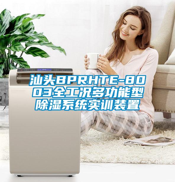 汕頭BPRHTE-8003全工況多功能型除濕系統(tǒng)實(shí)訓(xùn)裝置