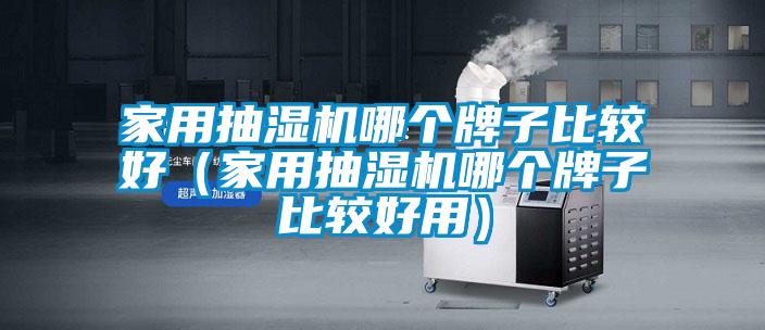 家用抽濕機(jī)哪個牌子比較好（家用抽濕機(jī)哪個牌子比較好用）