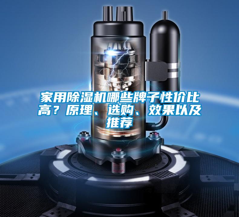 家用除濕機(jī)哪些牌子性?xún)r(jià)比高？原理、選購(gòu)、效果以及推薦