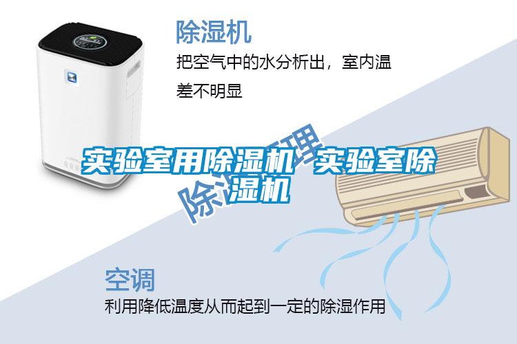 實(shí)驗(yàn)室用除濕機(jī) 實(shí)驗(yàn)室除濕機(jī)