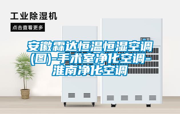 安徽霖達(dá)恒溫恒濕空調(diào)(圖)-手術(shù)室凈化空調(diào)-淮南凈化空調(diào)
