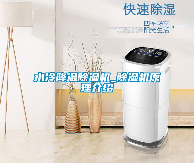 水冷降溫除濕機_除濕機原理介紹