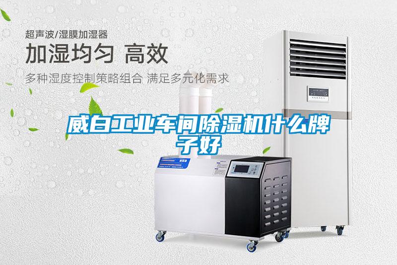 威白工業(yè)車間除濕機什么牌子好