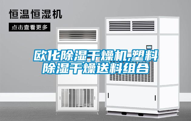 歐化除濕干燥機(jī),塑料除濕干燥送料組合