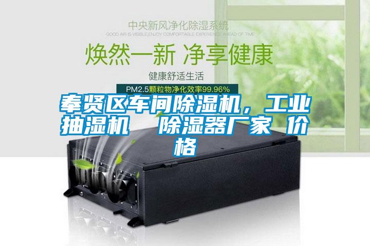 奉賢區(qū)車間除濕機，工業(yè)抽濕機  除濕器廠家 價格
